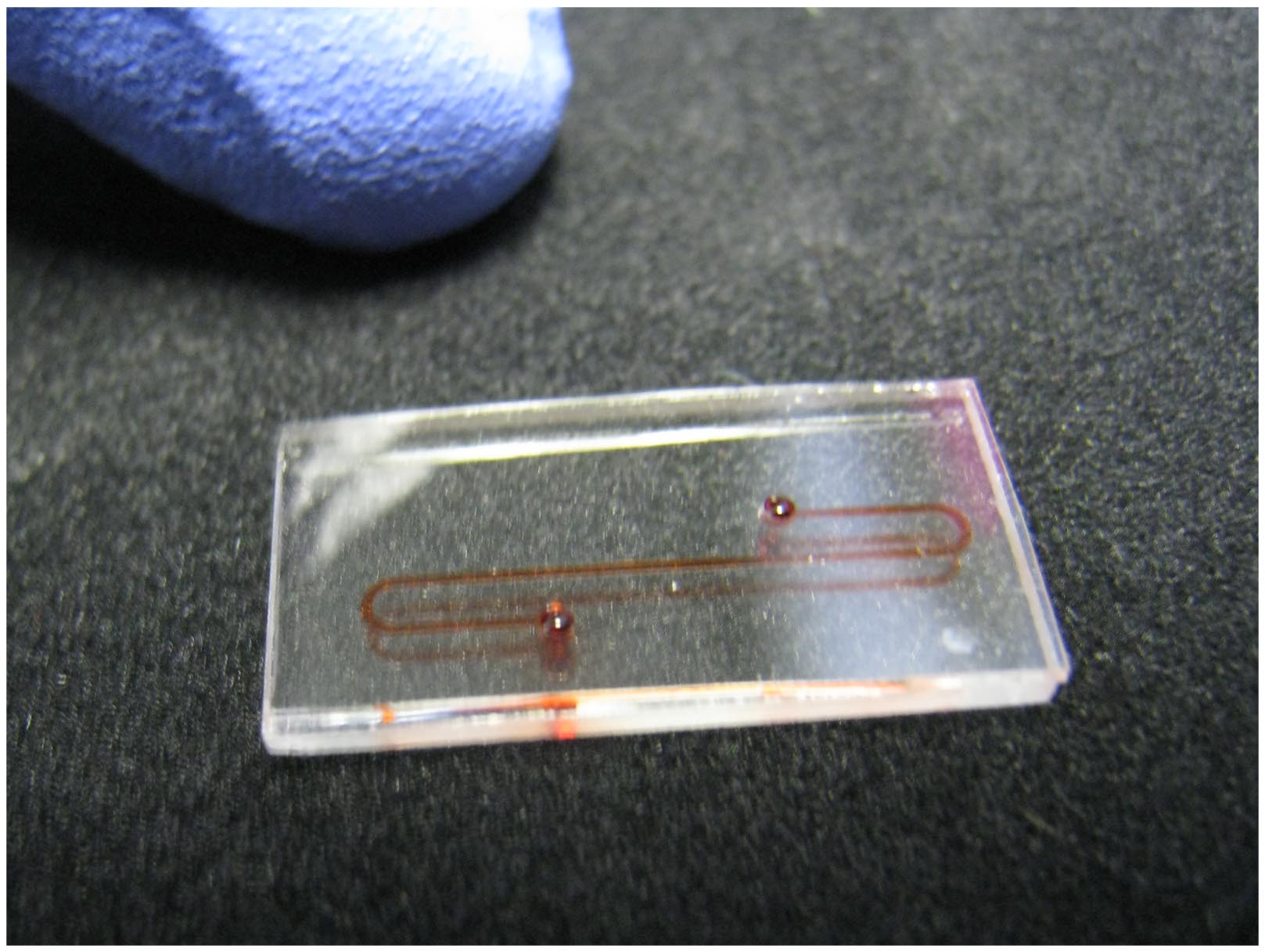 blood in microfluidic channel