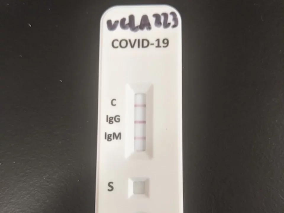 Testing stick with two lines, indicating the beginning of COVID-19 antibody testing in April 2020. 