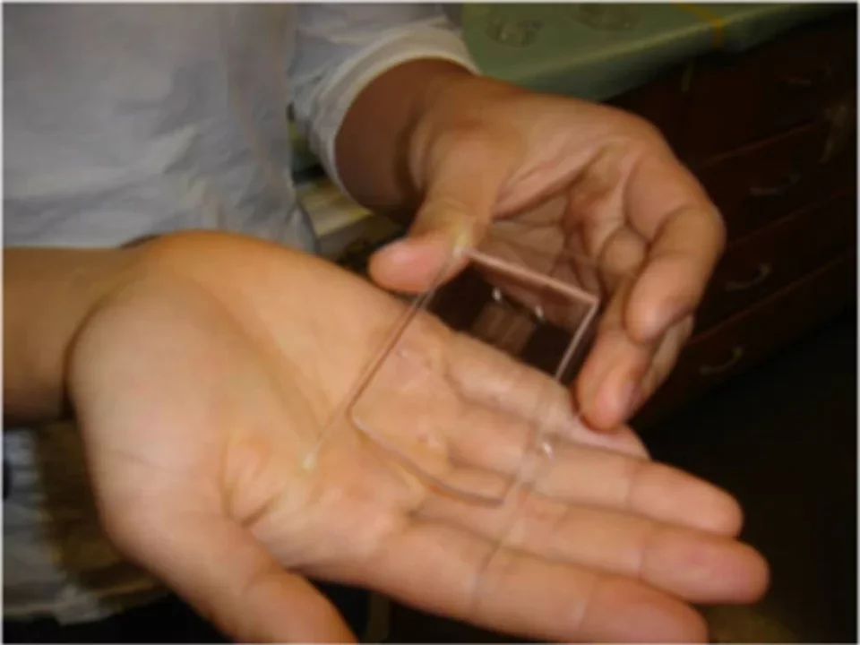 First generation sensor 2010