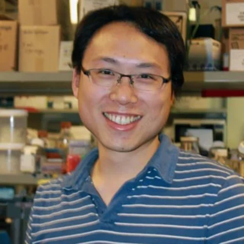 Headshot of Andrew Wang