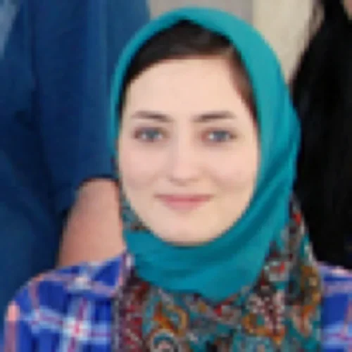Headshot of Negin Majedi