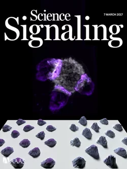 Science Signaling Cover